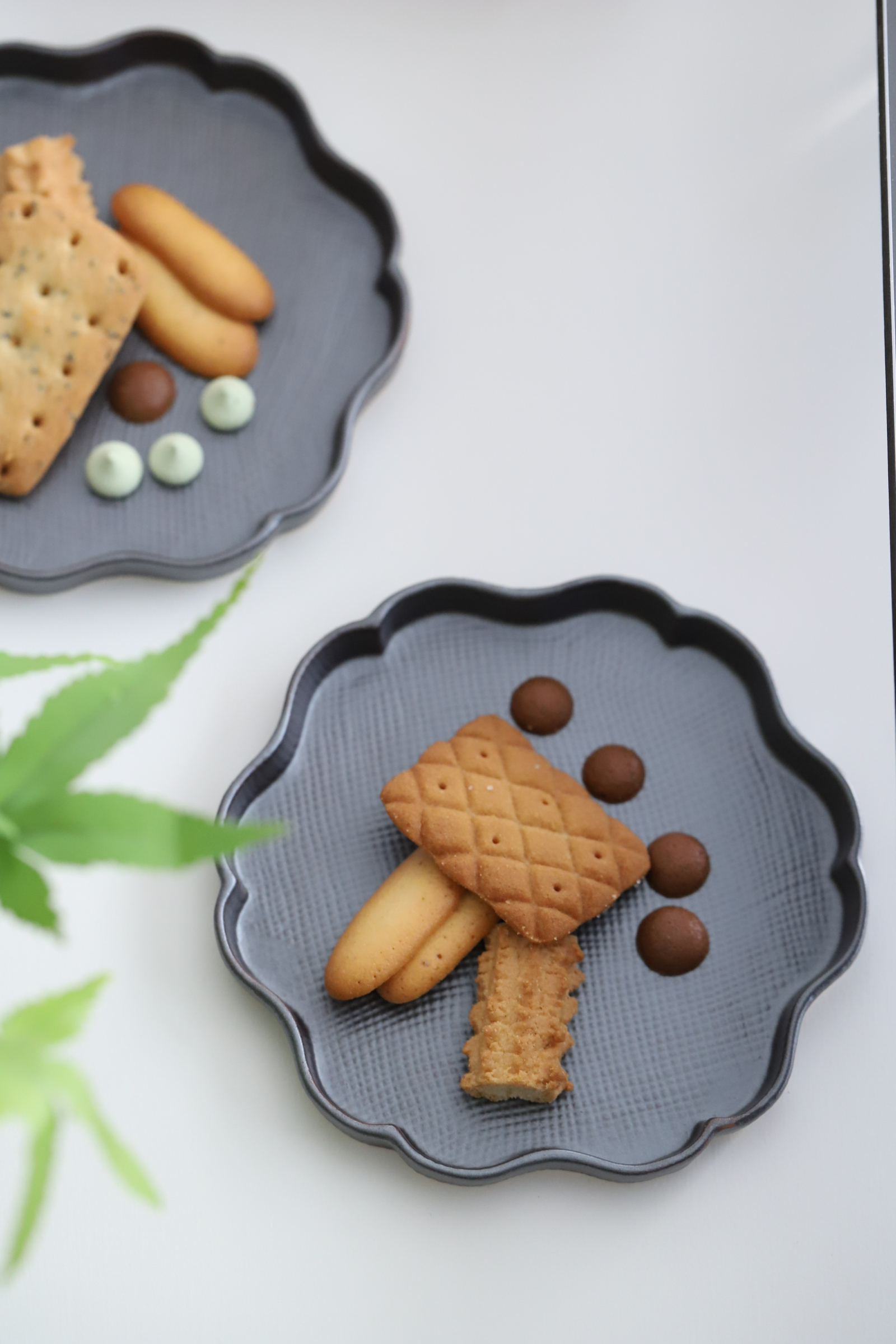 美濃焼　和三盆　輪花小皿・菓子皿　陶器　黒