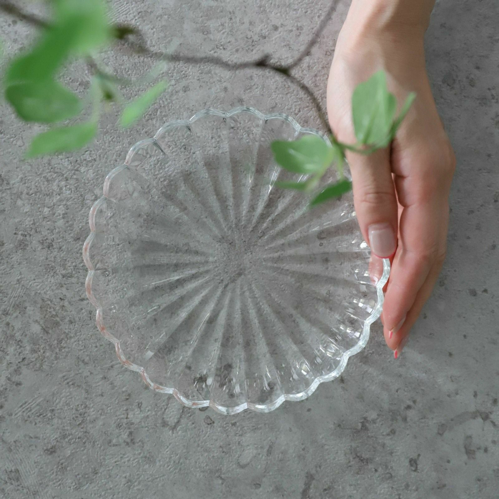 ガラス製　菊花プレート皿M