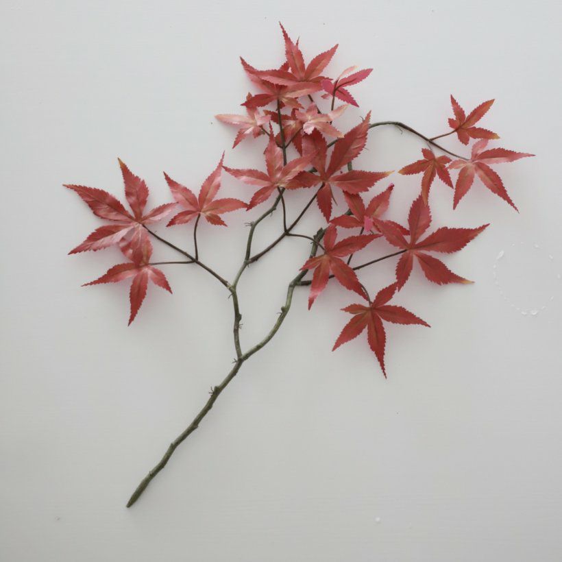 アートフラワー もみじ・青紅葉｜M苦楽園｜おしゃれな食器通販サイト