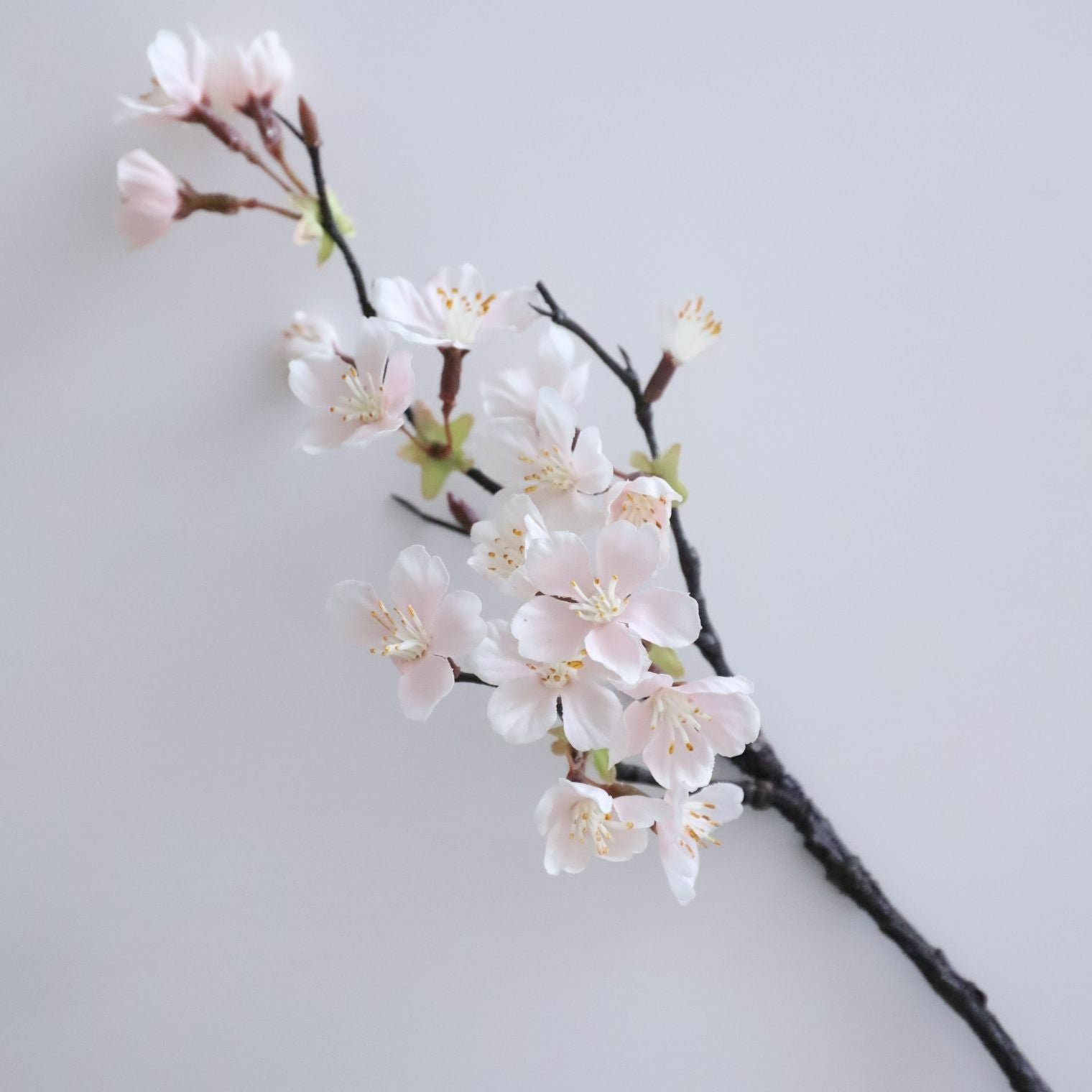 アートフラワー 淡雪の桜｜M苦楽園｜おしゃれな食器通販サイト