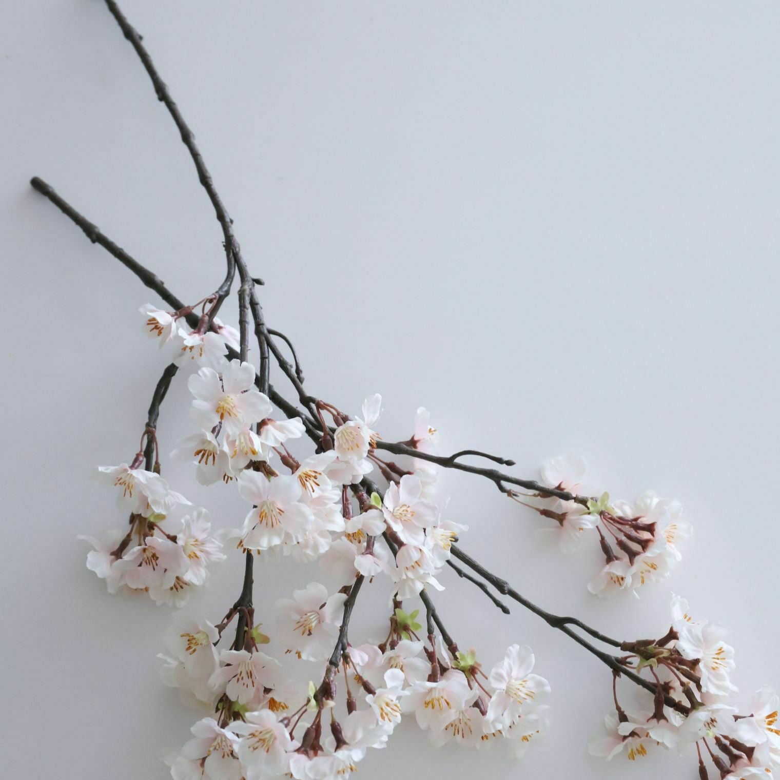 アートフラワー 淡雪の桜｜M苦楽園｜おしゃれな食器通販サイト