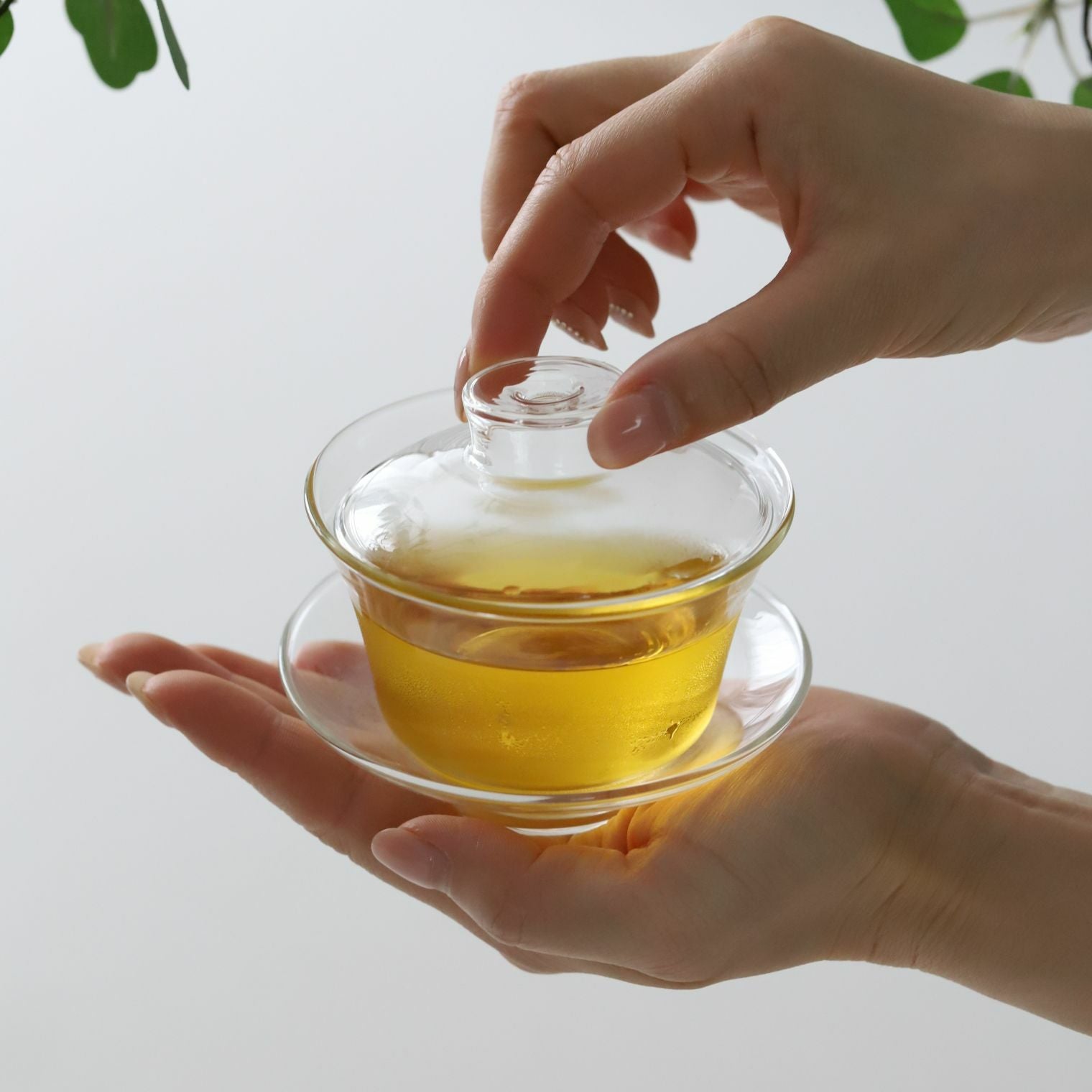 耐熱ガラス製ソーサー付き蓋碗茶器シンプル｜M苦楽園｜おしゃれな食器