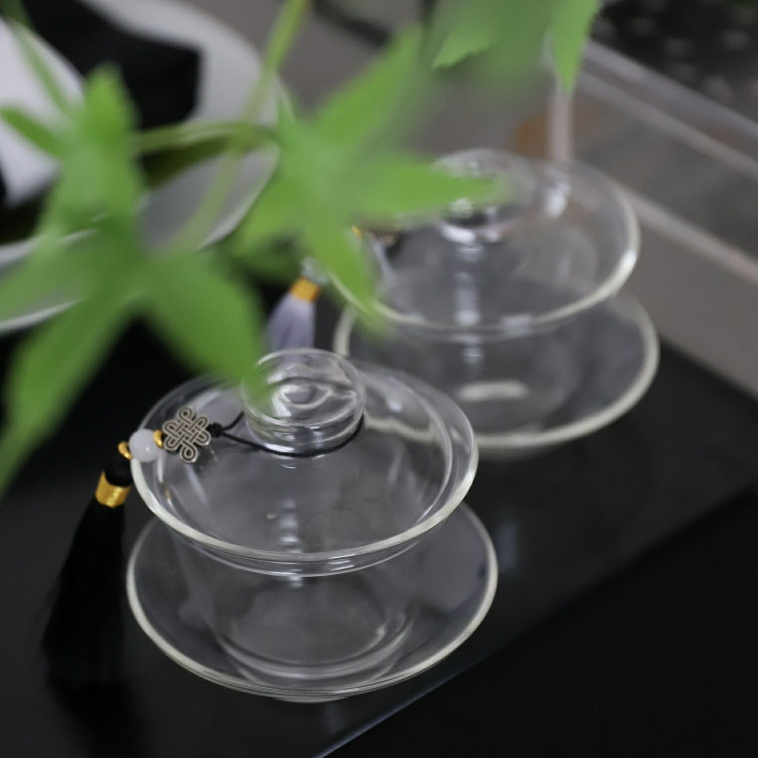 耐熱ガラス製ソーサー付き蓋碗茶器シンプル｜M苦楽園｜おしゃれな食器