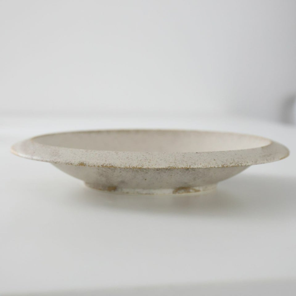 美濃焼　カレー・パスタ皿　磁器　サンディ　24cm