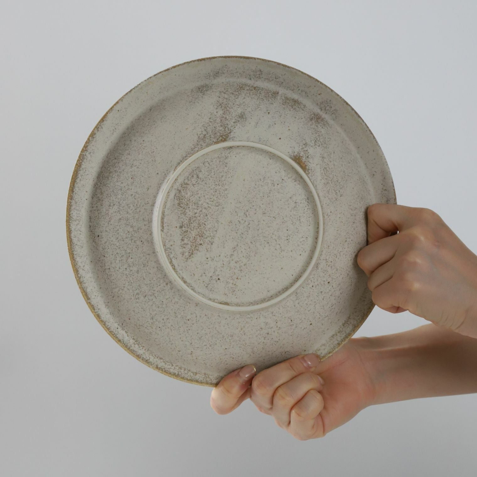 美濃焼　カレー・パスタ皿　磁器　サンディ　24cm