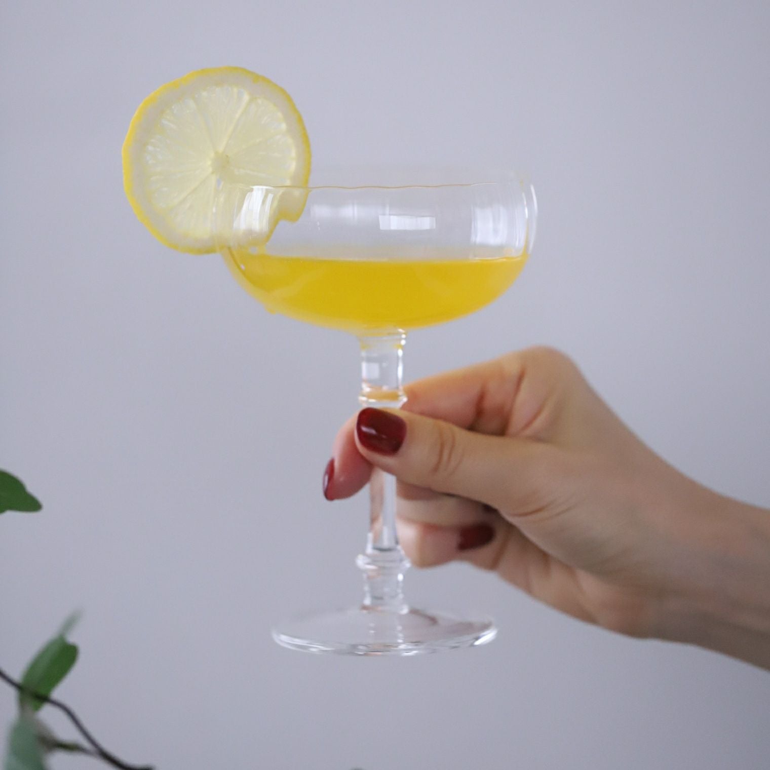 ガラス製　デザートクリアマム　カクテルグラス 180ml