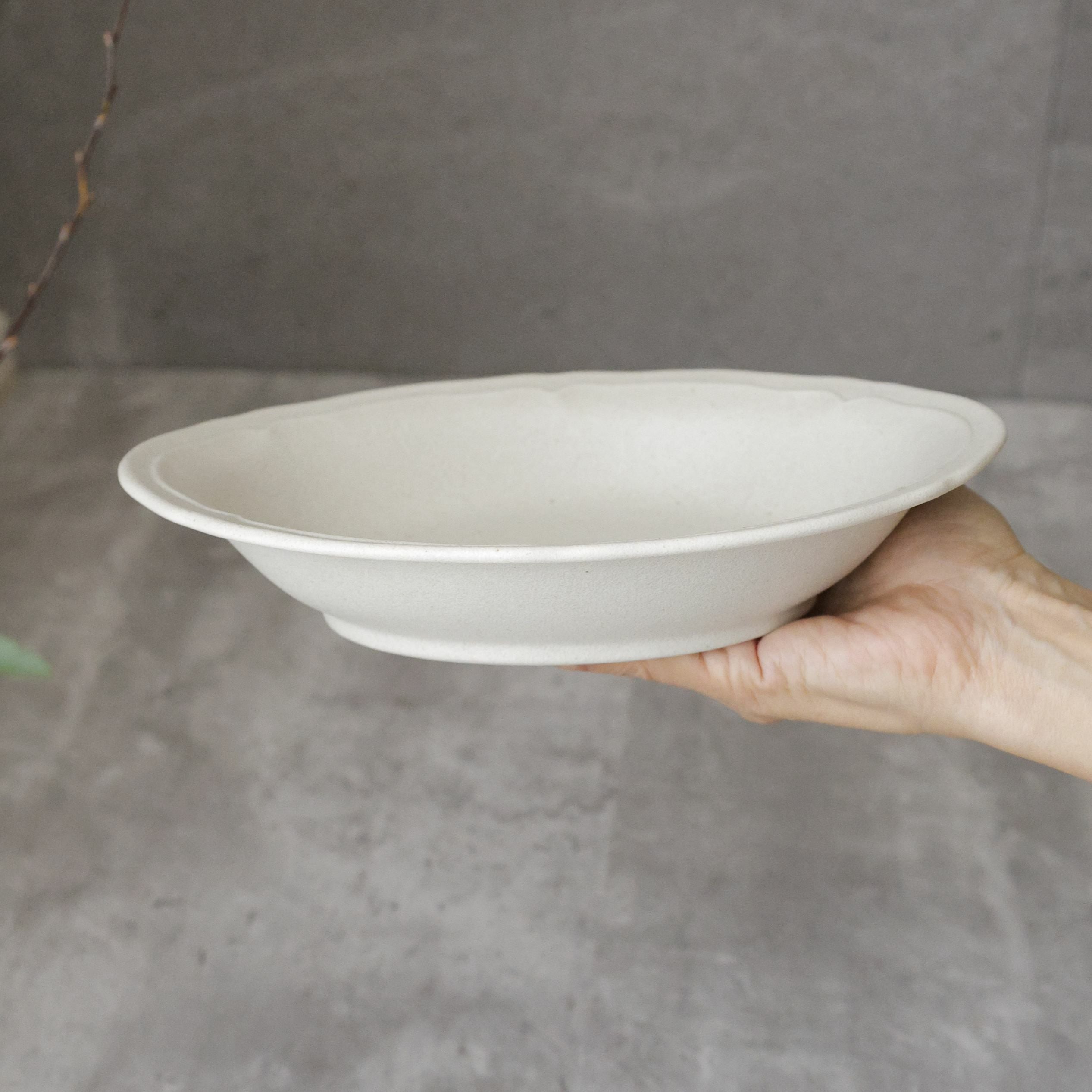 美濃焼　黒いカレー・パスタ皿　磁器　RINKA　23.6cm
