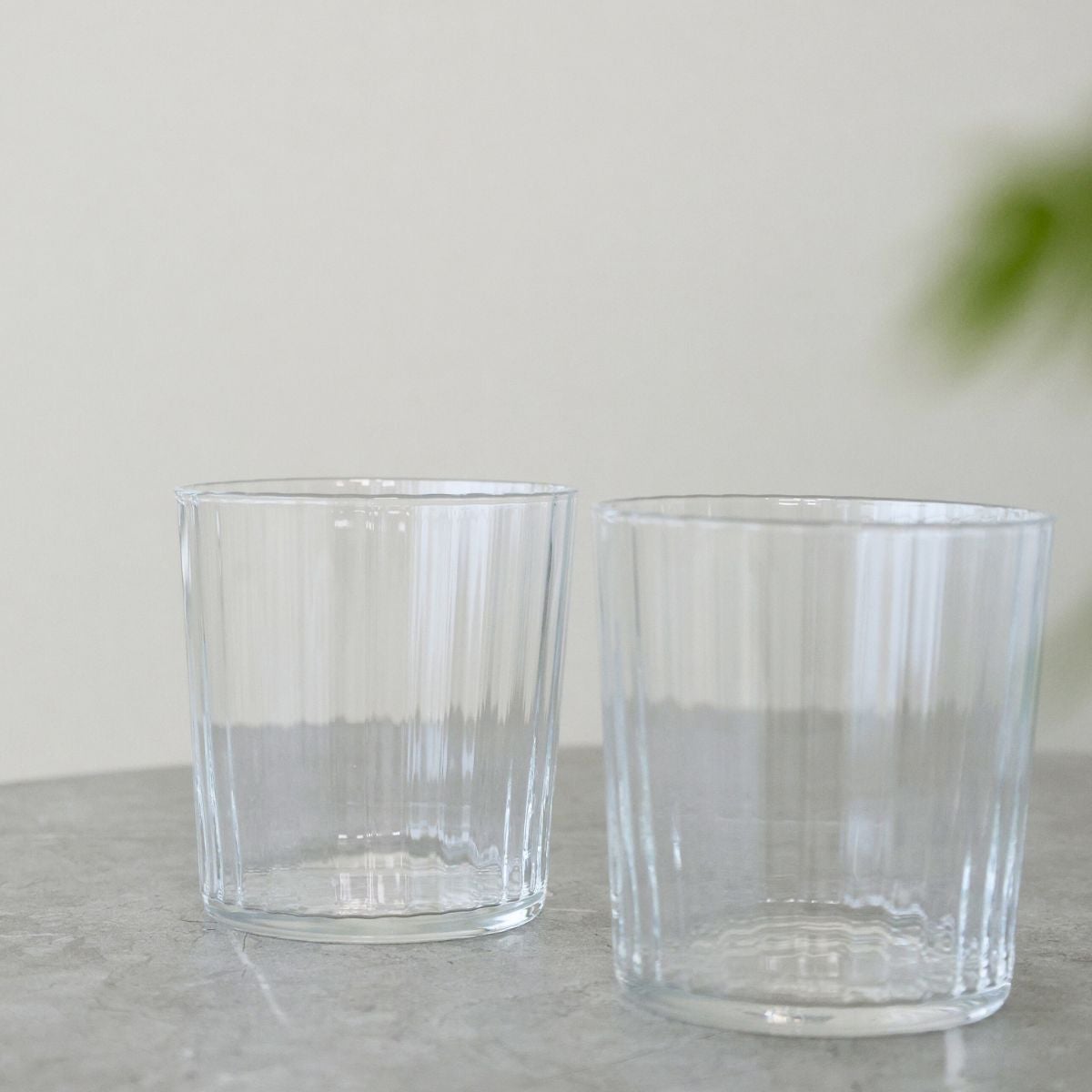 ガラス製　リノグラス ガラスタンブラー　 355cc