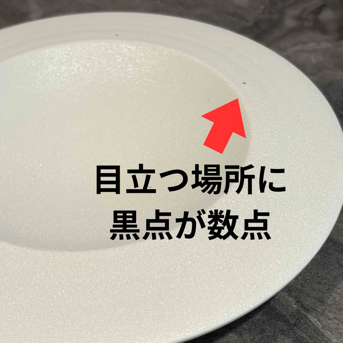 美濃焼　SHIRO　B品